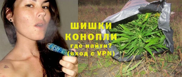 стафф Дмитриев