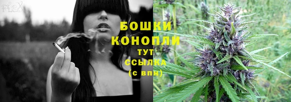 стафф Дмитриев